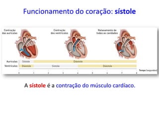 Funcionamento do coração: sístole
A sístole é a contração do músculo cardíaco.
 