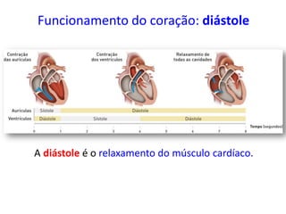 Funcionamento do coração: diástole
A diástole é o relaxamento do músculo cardíaco.
 