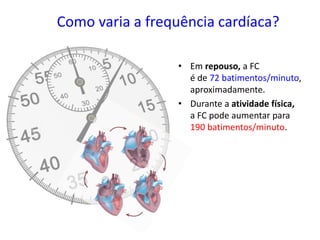Como varia a frequência cardíaca?
• Em repouso, a FC
é de 72 batimentos/minuto,
aproximadamente.
• Durante a atividade física,
a FC pode aumentar para
190 batimentos/minuto.
 