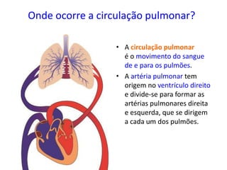 Onde ocorre a circulação pulmonar?
• A circulação pulmonar
é o movimento do sangue
de e para os pulmões.
• A artéria pulmonar tem
origem no ventrículo direito
e divide-se para formar as
artérias pulmonares direita
e esquerda, que se dirigem
a cada um dos pulmões.
 