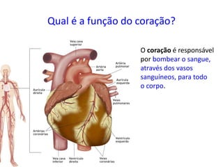 Qual é a função do coração?
O coração é responsável
por bombear o sangue,
através dos vasos
sanguíneos, para todo
o corpo.
 