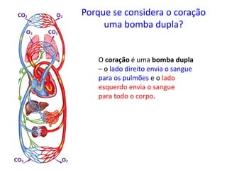 Porque se considera o coração
uma bomba dupla?
O coração é uma bomba dupla
– o lado direito envia o sangue
para os pulmões e o lado
esquerdo envia o sangue
para todo o corpo.
 
