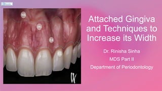 Attached Gingiva
and Techniques to
Increase its Width
Dr. Rinisha Sinha
MDS Part II
Department of Periodontology
 