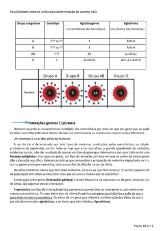 Página 10 de 16
Possibilidades entre os alelos para determinação do sistema ABO.
Grupo sanguíneo Genótipo Aglutinogénio Aglutinina
(na membrana das hemácias) (no plasma das hemácias)
A IA IA ou IA i A Anti-B
B IB IB ou IB i B Anti-A
AB IA IB AB Ausência
O ii Ausência Anti-A e Anti-B
Interações génicas  Epistasia
Ocorrem quando as características herdadas são controladas por mais do que um gene que se pode
localizar num diferente locus dentro do mesmo cromossoma ou mesmo em cromossomas diferentes.
Um exemplo é a cor dos olhos do humano.
A cor da íris é determinada por dois tipos de melanina produzidos pelos melanócitos, ou células
produtoras de pigmentos, na íris. Sabe-se hoje que a cor dos olhos, a grande quantidade de variações
existentes na cor, não são resultado de apenas um tipo de gene que determina a cor, mas trata-se de uma
herança poligénica (mais que um gene), um tipo de variação contínua em que os alelos de vários genes
dão a cloração aos olhos. Existem proteínas que comandam a proporção de melanina depositada na íris,
outros genes produzem manchas, raios e padrões de difusão na cor de olhos.
Os olhos castanhos são os que têm mais melanina, os azuis os que têm menos e os verdes (apenas 2%
da população tem olhos verdes) têm mais que os azuis e menos que os castanhos.
A interação entre genes (interações génicas) é muito frequente na natureza: cor de pele, estatura, cor
de olhos, são algumas destas interações.
A epistasia é um tipo de interação génica que ocorre quando dois ou mais genes atuam sobre uma
mesma característica. No caso deste tipo de interação génica, um gene atua inibindo a ação do outro
para determinada característica. Os alelos de um gene que inibem a manifestação dos alelos de outro
par são denominados epistáticos, e os alelos que são inibidos, hipostáticos.
 