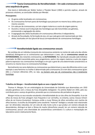Página 11 de 16
Teoria Cromossómica da Hereditariedade – Em cada cromossoma existe
uma sequência de genes.
Esta teoria é defendida por Walter Sutton e Theodor Boveri (1902) e permite explicar, através de
processos celulares, as conclusões obtidas por Mendel.
Pressupostos:
• Os genes estão localizados em cromossomas;
• Os cromossomas formam pares de homólogos que possuem no mesmo locus alelos para o
mesmo caracter;
• Em cada par de cromossomas, um tem origem materna e o outro de origem paterna;
• Durante a meiose ocorre disjunção dos homólogos que são transmitidos aos gâmetas,
promovendo a segregação dos alelos;
• A segregação dos alelos localizados em cromossomas diferentes é independente;
• Através da fecundação, há formação do ovo, em que cada gene está representado por dois
alelos, localizados em loci (plural de locus) correspondentes de cromossomas homólogos.
Hereditariedade ligada aos cromossomas sexuais
No cariótipo de um individuo (conjunto de cromossomas existente no núcleo de cada uma das células
somáticas) distinguem-se os cromossomas que determinam o sexo, são os cromossomas sexuais ou
HETEROSSOMAS, dos restantes cromossomas, os AUTOSSOMAS. Na reprodução sexuada cada individuo
é portador de DNA transmitido pelos seus progenitores, parte é de origem materna e outra de origem
paterna expressos nos cromossomas homólogos e em que o gene de uma determinada característica se
encontra no mesmo locus no cromossoma homólogo.
Normalmente nos seres diplontes os cromossomas que determinam o sexo são diferentes entre si, por
exemplo o sexo feminino na mulher é determinado pelo cromossoma 23 e tem dois cromossomas iguais
(XX) e o homem diferentes (XY), ou seja, no homem este par de cromossomas não é totalmente
homólogo.
Trabalhos de Morgan – Hereditariedade ligada ao sexo e Ligação Fatorial
Thomas H. Morgan, foi um embriologista da Universidade de Colúmbia que desenvolveu em 1910
estudos genéticos com a mosca da fruta Drosophila melagaster. Foi prémio Nobel em 1933, pelo seu
contributo para o avanço da genética, provando que os cromossomas são portadores de genes.
Morgan iniciou os seus estudos estudando a hereditariedade da cor dos olhos da Drosophila. A cor de
olhos da mosca da fruta selvagem mais frequente é cor vermelha, no entanto, outras moscas tinham
olhos de cor branca (mutantes). Começou então a cruzar fêmeas de olhos vermelhos com machos de
olhos brancos. A escolha da Drosophila como excelente “material” biológico a estudar está relacionado
por: ter dimensões reduzidas; ter um ciclo de vida muito curto e que produz um número elevado de
descendentes; distinguir-se bem a fêmea do macho (dimorfismo sexual), ter um número reduzido de
cromossomas; possuir uma diversidade de características controláveis e a cultura e manipulação em
laboratório serem relativamente fáceis.
 