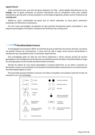 Página 13 de 16
Ligação fatorial
Cada cromossoma tem uma série de genes dispostos em linha – genes ligados fatorialmente ou em
Linkage, mas os genes presentes no mesmo cromossoma não se comportam como uma unidade
indissociável, pois durante a meiose (prófase I), na formação de gâmetas, podem ocorrer fenómenos de
crossing-over.
Obtém-se, assim, combinações de genes que só seriam esperadas se esses genes estivessem
localizados em diferentes cromossomas.
Há uma maior percentagem de gâmetas do tipo parental (transportam genes associados) e uma
pequena percentagem é formada na sequência de fenómenos de crossing-over.
Hereditariedade humana
A investigação nos humanos é difícil, ao contrário do que já referimos nas moscas-da-fruta, nós temos
um grande número de cromossomas, o nosso ciclo de vida é longo, temos poucos descendentes e
obviamente que não podemos fazer cruzamentos experimentais.
Esta investigação pode ser feita de uma forma tradicional e menos onerosa através de árvores
genealógicas ou heredogramas de famílias que nos poderão permitir perceber a hereditariedade ao longo
de várias gerações na transmissão de determinados caracteres.
Através da análise de uma árvore genealógica é possível determinar se um alelo é recessivo ou
dominante e ainda a sua localização em autossomas (hereditariedade autossómica) ou em heterossomas
(hereditariedade ligada ao sexo).
Para que todos possam entender as árvores, em todas as situações e em qualquer parte do mundo, foi
necessário criar uma simbologia.
 