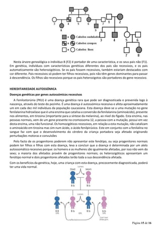 Página 15 de 16
Nesta árvore genealógica o indivíduo 8 (F2) é portador de uma característica, e os seus pais não (F1).
Em genética, indivíduos com características genéticas diferentes dos pais são recessivos, e os pais
automaticamente são heterozigóticos. Se os pais fossem recessivos, também estariam destacados com
cor diferente. Pais recessivos só podem ter filhos recessivos, pois não têm genes dominantes para passar
à descendência. Os filhos são recessivos porque os pais heterozigotos são portadores do gene recessivo.
HEREDITARIEDADE AUTOSSÓMICA
Doenças genéticas por genes autossómicos recessivas
A Fenilcetorúnia (PKU) é uma doença genética rara que pode ser diagnosticada e prevenida logo à
nascença, através do teste do pezinho. É uma doença é autossómica recessiva e afeta aproximadamente
um em cada dez mil indivíduos da população caucasiana. Esta doença deve-se a uma mutação no gene
fenilalanina hidroxilase que é uma enzima que catalisa a conversão da fenilalanina (aminoácido), presente
nos alimentos, em tirosina (importante para a síntese da melanina), ao nível do fígado. Esta enzima, nas
pessoas normais, vem de um gene presente no cromossoma 12, a pessoa com a mutação, possui em vez
desta enzima, uma não funcional. Os homozigóticos recessivos, em relação a esta mutação, não catalizam
o aminoácido em tirosina mas sim num ácido, o ácido fenilpirúvico. Este em conjunto com a fenilalina no
sangue faz com que o desenvolvimento do cérebro da criança portadora seja afetado originando
perturbações motoras e convulsões
Pelo facto de os progenitores poderem não apresentar este fenótipo, ou seja progenitores normais
podem ter filhos e filhas com esta doença, leva a concluir que a doença é determinada por um alelo
autossomático recessivo porque: os homens e as mulheres são igualmente afetadas, por isso não vem do
sexo; a maioria dos afetados provém de progenitores normais; os heterozigóticos apresentam um
fenótipo normal e dois progenitores afetados terão toda a sua descendência afetada.
Com os benefícios da genética, hoje, uma criança com esta doença, precocemente diagnosticada, poderá
ter uma vida normal.
 
