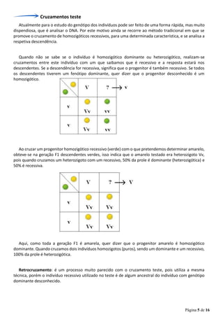 Página 5 de 16
Cruzamentos teste
Atualmente para o estudo do genótipo dos indivíduos pode ser feito de uma forma rápida, mas muito
dispendiosa, que é analisar o DNA. Por este motivo ainda se recorre ao método tradicional em que se
promove o cruzamento de homozigóticos recessivos, para uma determinada característica, e se analisa a
respetiva descendência.
Quando não se sabe se o indivíduo é homozigótico dominante ou heterozigótico, realizam-se
cruzamentos entre este indivíduo com um que saibamos que é recessivo e a resposta estará nos
descendentes. Se a descendência for recessiva, significa que o progenitor é também recessivo. Se todos
os descendentes tiverem um fenótipo dominante, quer dizer que o progenitor desconhecido é um
homozigótico.
Ao cruzar um progenitor homozigótico recessivo (verde) com o que pretendemos determinar amarelo,
obteve-se na geração F1 descendentes verdes, isso indica que o amarelo testado era heterozigoto Vv,
pois quando cruzamos um heterozigoto com um recessivo, 50% da prole é dominante (heterozigótica) e
50% é recessiva.
Aqui, como toda a geração F1 é amarela, quer dizer que o progenitor amarelo é homozigótico
dominante. Quando cruzamos dois indivíduos homozigotos (puros), sendo um dominante e um recessivo,
100% da prole é heterozigótica.
Retrocruzamento: é um processo muito parecido com o cruzamento teste, pois utiliza a mesma
técnica, porém o indivíduo recessivo utilizado no teste é de algum ancestral do indivíduo com genótipo
dominante desconhecido.
 