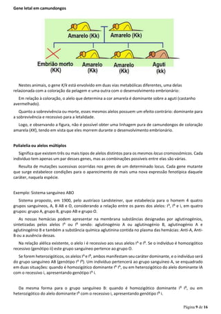 Página 9 de 16
Gene letal em camundongos
Nestes animais, o gene K/k está envolvido em duas vias metabólicas diferentes, uma delas
relacionada com a coloração da pelagem e uma outra com o desenvolvimento embrionário:
Em relação à coloração, o alelo que determina a cor amarela é dominante sobre a aguti (castanho
avermelhado).
Quanto a sobrevivência ou morte, esses mesmos alelos possuem um efeito contrário: dominante para
a sobrevivência e recessivo para a letalidade.
Logo, e observando a figura, não é possível obter uma linhagem pura de camundongos de coloração
amarela (KK), tendo em vista que eles morrem durante o desenvolvimento embrionário.
Polialelia ou alelos múltiplos
Significa que existem três ou mais tipos de alelos distintos para os mesmos locus cromossómicos. Cada
indivíduo tem apenas um par desses genes, mas as combinações possíveis entre elas são várias.
Resulta de mutações sucessivas ocorridas nos genes de um determinado locus. Cada gene mutante
que surge estabelece condições para o aparecimento de mais uma nova expressão fenotípica daquele
caráter, naquela espécie.
Exemplo: Sistema sanguíneo ABO
Sistema proposto, em 1900, pelo austríaco Landsteiner, que estabelecia para o homem 4 quatro
grupos sanguíneos, A, B AB e O, considerando a relação entre os pares dos alelos: IA, IB e i, em quatro
grupos: grupo A, grupo B, grupo AB e grupo O.
As nossas hemácias podem apresentar na membrana substâncias designadas por aglutinogénios,
sintetizadas pelos alelos IA ou IB sendo: aglutinogénio A ou aglutinogénio B, aglutinogénio A e
aglutinogénio B e também a substância química aglutinina contida no plasma das hemácias: Anti-A, Anti-
B ou a ausência dessas.
Na relação alélica existente, o alelo i é recessivo aos seus alelos IA e IB. Se o indivíduo é homozigótico
recessivo (genótipo ii) este grupo sanguíneo pertence ao grupo O.
Se forem heterozigóticos, os alelos IA e IB, ambos manifestam seu caráter dominante, e o indivíduo será
do grupo sanguíneo AB (genótipo IA IB). Um indivíduo pertencerá ao grupo sanguíneo A, se enquadrado
em duas situações: quando é homozigótico dominante IA IA, ou em heterozigótico do alelo dominante IA
com o recessivo i, apresentando genótipo IA i.
Da mesma forma para o grupo sanguíneo B: quando é homozigótico dominante IB IB, ou em
heterozigótico do alelo dominante IB com o recessivo i, apresentando genótipo IB i.
 