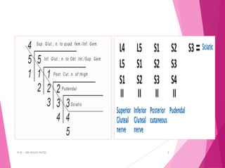 P/B :- DR NIYATI PATEL 3
 