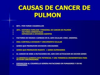 CAUSAS DE CANCER DE
PULMON
 80% POR FUMAR CIGARRILLOS
 20% HISTORIA FAMILIAR Y PERSONAL DE CANCER DE PULMON
 FACTORES AMBIENTALES
 EXPOSICION A DIVERSOS AGENTES
 FACTORES DE RIEZGO>CAMBIOS EN EL ADN CELULAR>CREC. ANORMAL
 DNA>CONTROLA DIVISION Y CRECIMIENTO CELULAR
 GENES QUE PROMUEVEN DIVISION>ONCOGENES
 GENES QUE PROMUEVEN MUERTE > GENES SUPRESORES
 EL CANCER SE DEBE A MUTACIONES DEL ADN CON ACTIVACION DE DICHOS GENES
 LA HERENCIA AUMENTA ESTE POTENCIAL Y UNA TENDENCIA INCREMENTADA PARA
ACTIVAR CARCINOGENOS.
 EXPOSICION AL CIGARRILLO GENERA MUTACIONES EN FUMADORES Y EN NO
FUMADORES.
 