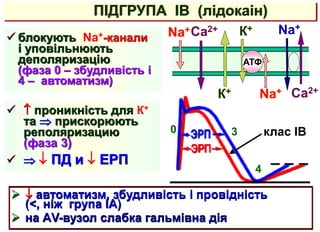 ПІДГРУПА IВ (лідокаін)
Na+Сa2+
Na+
АТФ
К+
К+
Na+
Сa2+
 блокують Na+-канали
і уповільнюють
деполяризацію
(фаза 0 – збудливість і
4 – автоматизм)
0
4
3
  автоматизм, збудливість і провідність
(<, ніж група IА)
 на АV-вузол слабка гальмівна дія
  проникність для К+
та  прискорюють
реполяризацию
(фаза 3)
   ПД и  ЕРП
клас IВ
 