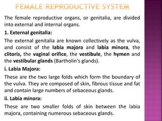 Parts of female reproductive system
 