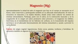 Magnesio (Mg)
Aproximadamente la mitad de todo el magnesio que hay en el cuerpo se encuentra en el
hueso, como reservorio y participando también en su adecuada mineralización. El resto se
encuentra en músculos y en tejidos blandos, donde actúa como cofactor de cientos de
enzimas intracelulares. Participa, junto con el calcio, en la contracción muscular y en la
coagulación de la sangre (el calcio promueve estos procesos y el magnesio los inhibe).
Interviene en el metabolismo de los hidratos de carbono, en la transmisión del impulso
nervioso y en el adecuado funcionamiento del sistema inmunitario y ayuda a prevenir la
caries dental.
Fuentes: de origen vegetal: leguminosas, frutos secos, patatas, verduras y hortalizas. Se
encuentra también en algunos moluscos y crustáceos.
 