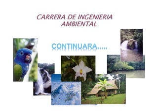 CARRERA DE INGENIERIA
AMBIENTAL
 
