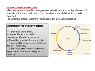 7. recombinant DNA.pptx
