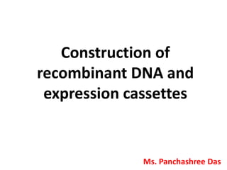 Construction of
recombinant DNA and
expression cassettes
Ms. Panchashree Das
 