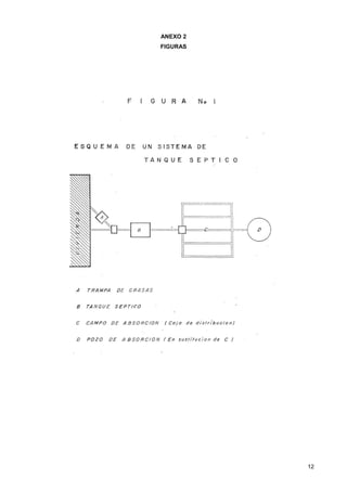 12
ANEXO 2
FIGURAS
 