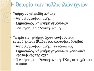 Η θεωρία των πολλαπλών ιχνών
 Υπάρχουν τρία είδη μνήμης
◦ Αυτοβιογραφική μνήμη
◦ Σημασιολογική μνήμη γεγονότων
◦ Γενική σημασιολογική μνήμη
 Τα τρία είδη μνήμης έχουν διαφορετική
ευαισθησία σε βλάβες του κροταφικού λοβού
◦ Αυτοβιογραφική μνήμη: ιππόκαμπος
◦ Σημασιολογική μνήμη γεγονότων: γειτονικές
κροταφικές περιοχές
◦ Γενική σημασιολογική μνήμη: άλλες περιοχές του
φλοιού
 