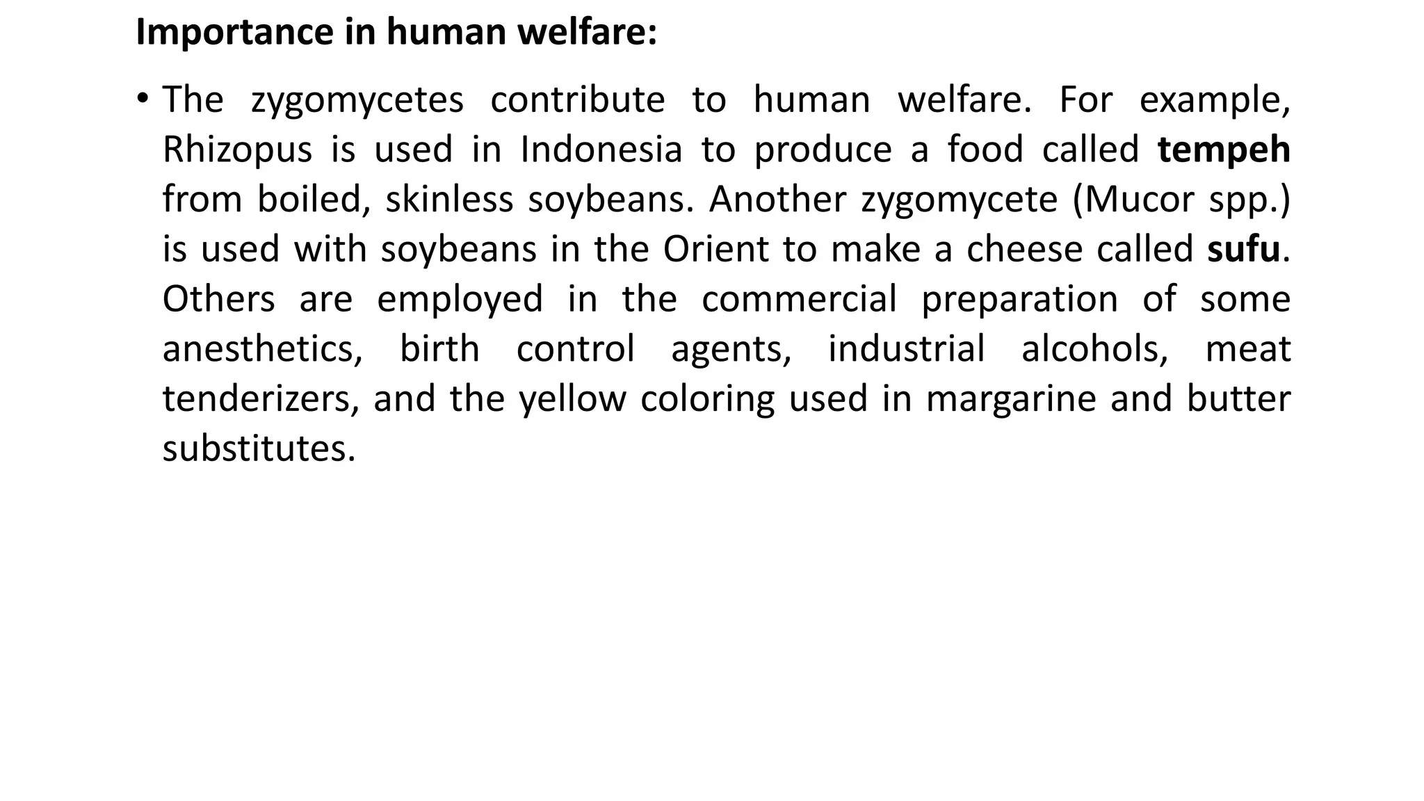 Importance in human welfare:
• The zygomycetes contribute to human welfare. For example,
Rhizopus is used in Indonesia to produce a food called tempeh
from boiled, skinless soybeans. Another zygomycete (Mucor spp.)
is used with soybeans in the Orient to make a cheese called sufu.
Others are employed in the commercial preparation of some
anesthetics, birth control agents, industrial alcohols, meat
tenderizers, and the yellow coloring used in margarine and butter
substitutes.
 