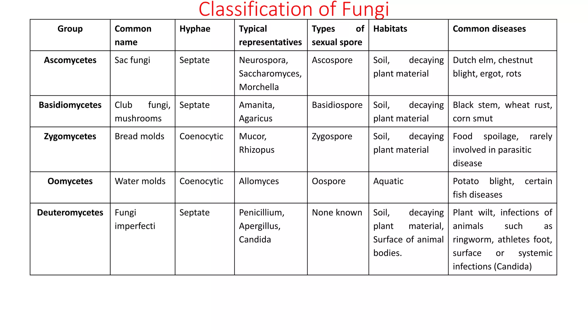 Classification of Fungi
Group Common
name
Hyphae Typical
representatives
Types of
sexual spore
Habitats Common diseases
Ascomycetes Sac fungi Septate Neurospora,
Saccharomyces,
Morchella
Ascospore Soil, decaying
plant material
Dutch elm, chestnut
blight, ergot, rots
Basidiomycetes Club fungi,
mushrooms
Septate Amanita,
Agaricus
Basidiospore Soil, decaying
plant material
Black stem, wheat rust,
corn smut
Zygomycetes Bread molds Coenocytic Mucor,
Rhizopus
Zygospore Soil, decaying
plant material
Food spoilage, rarely
involved in parasitic
disease
Oomycetes Water molds Coenocytic Allomyces Oospore Aquatic Potato blight, certain
fish diseases
Deuteromycetes Fungi
imperfecti
Septate Penicillium,
Apergillus,
Candida
None known Soil, decaying
plant material,
Surface of animal
bodies.
Plant wilt, infections of
animals such as
ringworm, athletes foot,
surface or systemic
infections (Candida)
 