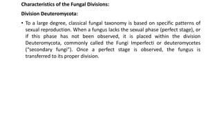 Characteristics of the Fungal Divisions:
Division Deuteromycota:
• To a large degree, classical fungal taxonomy is based on specific patterns of
sexual reproduction. When a fungus lacks the sexual phase (perfect stage), or
if this phase has not been observed, it is placed within the division
Deuteromycota, commonly called the Fungi Imperfecti or deuteromycetes
(“secondary fungi”). Once a perfect stage is observed, the fungus is
transferred to its proper division.
 