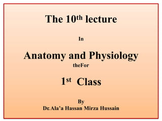 The 10th lecture
In
Anatomy and Physiology
For
the
1st Class
By
Dr.Ala’a Hassan Mirza Hussain
 