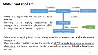 • NAPQI is a highly reactive that can act as an
oxidant.
• Normally, it is rapidly metabolized by
conjugation to intracellular glutathione (GSH)
forming a nontoxic APAP-GSH conjugate .
• Subsequent processing leads to its urinary excretion as mercapturic acid and cysteine
conjugates.
• However, under conditions where the supply of NAPQI exceeds the amount of available
glutathione, the former covalently binds hepatocellular proteins, initiating hepatocyte
necrosis.
APAP: metabolism
14
 