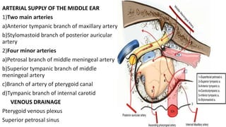 ARTERIAL SUPPLY OF THE MIDDLE EAR
1)Two main arteries
a)Anterior tympanic branch of maxillary artery
b)Stylomastoid branch of posterior auricular
artery
2)Four minor arteries
a)Petrosal branch of middle meningeal artery
b)Superior tympanic branch of middle
meningeal artery
c)Branch of artery of pterygoid canal
d)Tympanic branch of internal carotid
VENOUS DRAINAGE
Pterygoid venous plexus
Superior petrosal sinus
 
