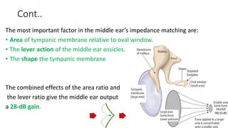 Cont..
The most important factor in the middle ear’s impedance matching are:
• Area of tympanic membrane relative to oval window.
• The lever action of the middle ear ossicles.
• The shape the tympanic membrane
The combined effects of the area ratio and
the lever ratio give the middle ear output
a 28-dB gain.
 