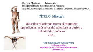 TÍTULO: Miología
Carrera: Medicina Primer Año
Disciplina: Bases Biológicas de la Medicina
Asignatura: Ontogenia Humana y S...