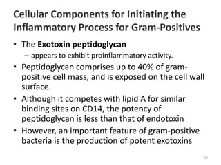 Cellular Components for Initiating the
Inflammatory Process for Gram-Positives
• The Exotoxin peptidoglycan
– appears to exhibit proinflammatory activity.
• Peptidoglycan comprises up to 40% of gram-
positive cell mass, and is exposed on the cell wall
surface.
• Although it competes with lipid A for similar
binding sites on CD14, the potency of
peptidoglycan is less than that of endotoxin
• However, an important feature of gram-positive
bacteria is the production of potent exotoxins
16
 