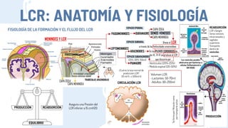 7. NEUROCIRUGÍA - LCR E HIDROCEFALIA.pptx.pdf