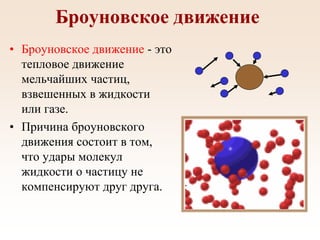 Броуновское движение
• Броуновское движение - это
тепловое движение
мельчайших частиц,
взвешенных в жидкости
или газе.
• Причина броуновского
движения состоит в том,
что удары молекул
жидкости о частицу не
компенсируют друг друга.
 
