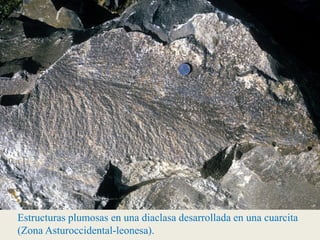 Estructuras plumosas en una diaclasa desarrollada en una cuarcita
(Zona Asturoccidental-leonesa).
 