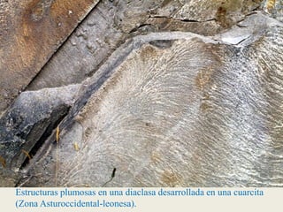 Estructuras plumosas en una diaclasa desarrollada en una cuarcita
(Zona Asturoccidental-leonesa).
 