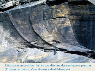 Estructuras en costilla (ribs) en una diaclasa desarrollada en pizarras
(Pizarras de Luarca, Zona Asturoccidental-leonesa).
 