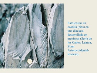 Estructuras en
costilla (ribs) en
una diaclasa
desarrollada en
areniscas (Serie de
los Cabos; Luarca,
Zona
Asturoccidental-
leonesa).
 