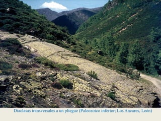 Diaclasas transversales a un pliegue (Paleozoico inferior; Los Ancares, León)
 