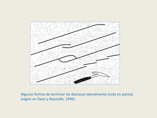 Algunas formas de terminar las diaclasas lateralmente (vista en planta)
(según en Davis y Reynolds, 1996).
 