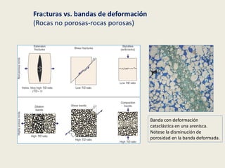 Fracturas vs. bandas de deformación
(Rocas no porosas-rocas porosas)
Banda con deformación
cataclástica en una arenisca.
Nótese la disminución de
porosidad en la banda deformada.
 