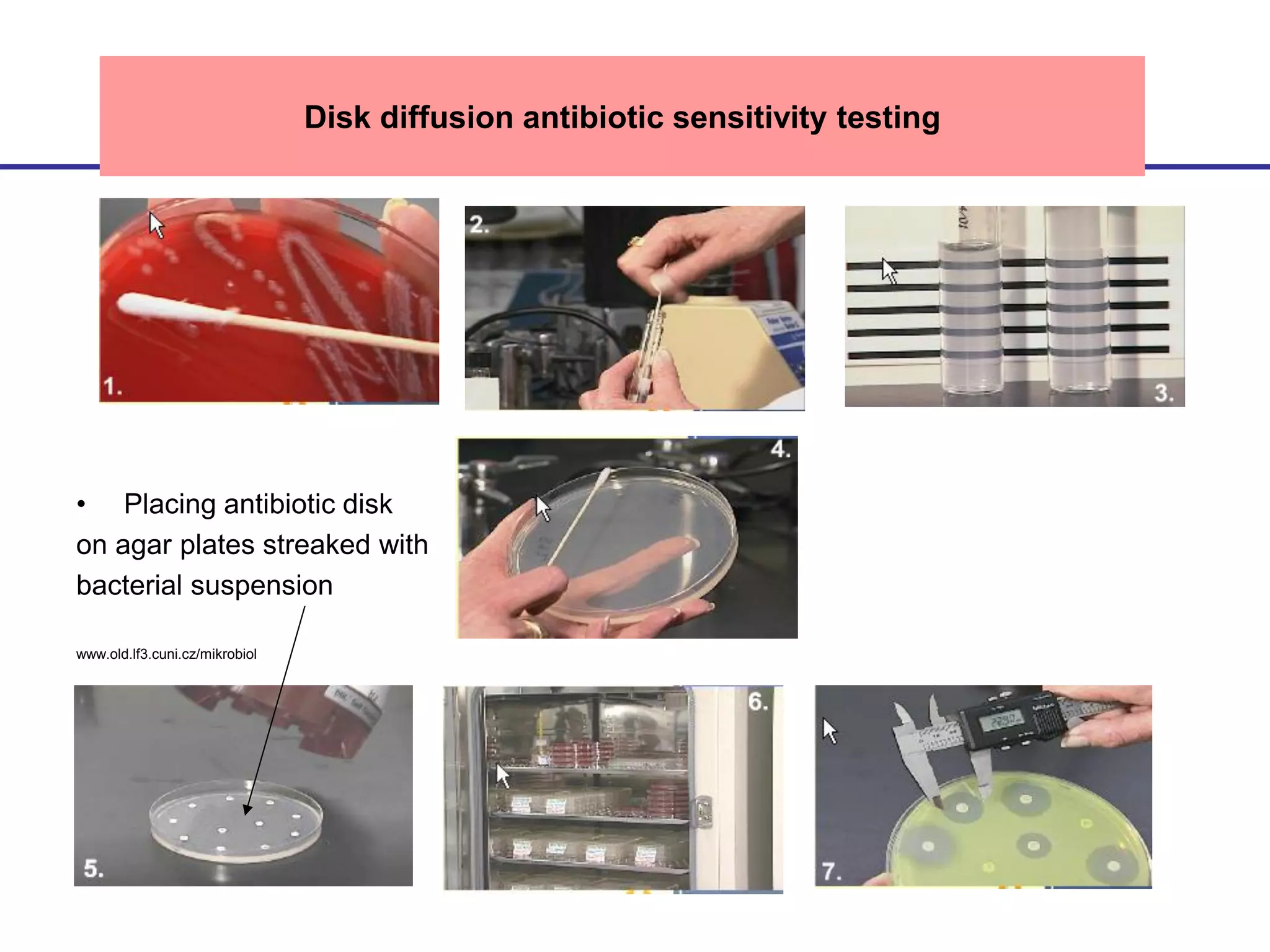 • Placing antibiotic disk
on agar plates streaked with
bacterial suspension
www.old.lf3.cuni.cz/mikrobiol
Disk diffusion antibiotic sensitivity testing
 