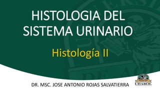 HISTOLOGIA DEL
SISTEMA URINARIO
Histología II
DR. MSC. JOSE ANTONIO ROJAS SALVATIERRA
 