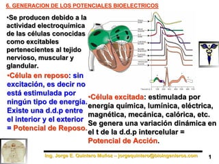 Ing. Jorge E. Quintero Muñoz – jorgequintero@bioingenieros.com
Ing. Jorge E. Quintero Muñoz – jorgequintero@bioingenieros.com
6. GENERACION DE LOS POTENCIALES BIOELECTRICOS
6. GENERACION DE LOS POTENCIALES BIOELECTRICOS
•Se producen debido a la
actividad electroquímica
de las células conocidas
como excitables
pertenecientes al tejido
nervioso, muscular y
glandular.
•Se producen debido a la
actividad electroquímica
de las células conocidas
como excitables
pertenecientes al tejido
nervioso, muscular y
glandular.
•Célula en reposo: sin
excitación, es decir no
está estimulada por
ningún tipo de energía.
Existe una d.d.p entre
el interior y el exterior
= Potencial de Reposo.
•Célula en reposo: sin
excitación, es decir no
está estimulada por
ningún tipo de energía.
Existe una d.d.p entre
el interior y el exterior
= Potencial de Reposo.
•Célula excitada: estimulada por
energía química, lumínica, eléctrica,
magnética, mecánica, calórica, etc.
Se genera una variación dinámica en
el t de la d.d.p intercelular =
Potencial de Acción.
•Célula excitada: estimulada por
energía química, lumínica, eléctrica,
magnética, mecánica, calórica, etc.
Se genera una variación dinámica en
el t de la d.d.p intercelular =
Potencial de Acción.
1
1
 