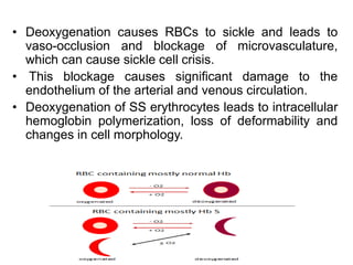 • Deoxygenation causes RBCs to sickle and leads to
vaso-occlusion and blockage of microvasculature,
which can cause sickle cell crisis.
• This blockage causes significant damage to the
endothelium of the arterial and venous circulation.
• Deoxygenation of SS erythrocytes leads to intracellular
hemoglobin polymerization, loss of deformability and
changes in cell morphology.
 
