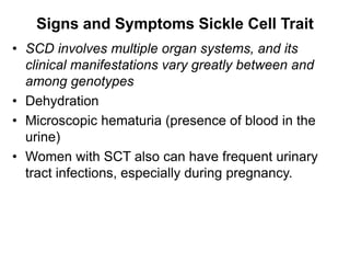 Signs and Symptoms Sickle Cell Trait
• SCD involves multiple organ systems, and its
clinical manifestations vary greatly between and
among genotypes
• Dehydration
• Microscopic hematuria (presence of blood in the
urine)
• Women with SCT also can have frequent urinary
tract infections, especially during pregnancy.
 