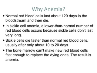 Why Anemia?
 Normal red blood cells last about 120 days in the
bloodstream and then die.
 In sickle cell anemia, a lower-than-normal number of
red blood cells occurs because sickle cells don’t last
very long.
 Sickle cells die faster than normal red blood cells,
usually after only about 10 to 20 days.
 The bone marrow can’t make new red blood cells
fast enough to replace the dying ones. The result is
anemia.
 