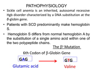 PATHOPHYSIOLOGY
• Sickle cell anemia is an inherited, autosomal recessive
Hgb disorder characterized by a DNA substitution at the
β-globin gene.
• Patients with SCD predominantly make hemoglobin
S.
• Hemoglobin S differs from normal hemoglobin A by
the substitution of a single amino acid within one of
the two polypeptide chains.
The s Mutation
6th Codon of -Globin Gene
GAG
Glutamic acid
GTG
Valine
 