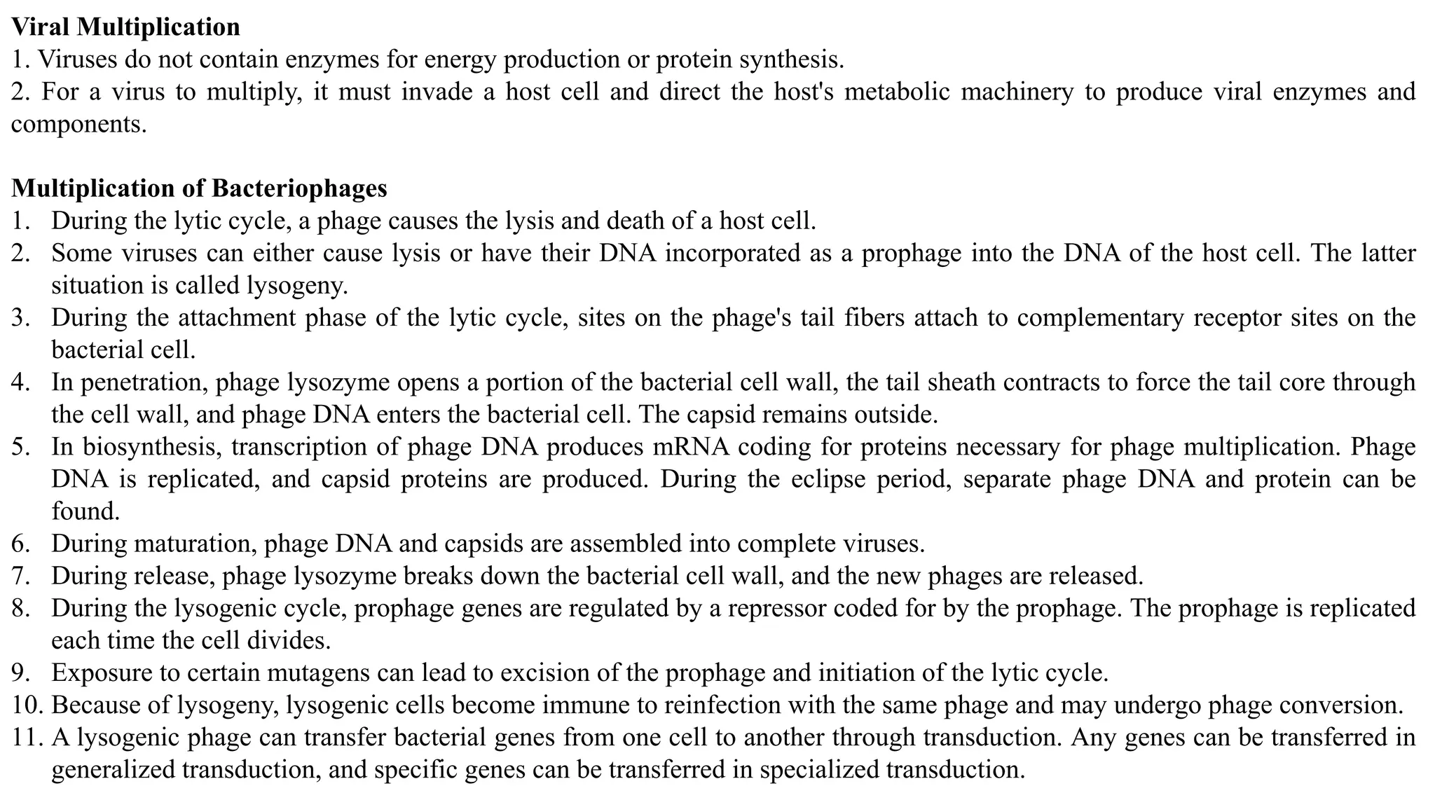 Viral Multiplication
1. Viruses do not contain enzymes for energy production or protein synthesis.
2. For a virus to multiply, it must invade a host cell and direct the host's metabolic machinery to produce viral enzymes and
components.
Multiplication of Bacteriophages
1. During the lytic cycle, a phage causes the lysis and death of a host cell.
2. Some viruses can either cause lysis or have their DNA incorporated as a prophage into the DNA of the host cell. The latter
situation is called lysogeny.
3. During the attachment phase of the lytic cycle, sites on the phage's tail fibers attach to complementary receptor sites on the
bacterial cell.
4. In penetration, phage lysozyme opens a portion of the bacterial cell wall, the tail sheath contracts to force the tail core through
the cell wall, and phage DNA enters the bacterial cell. The capsid remains outside.
5. In biosynthesis, transcription of phage DNA produces mRNA coding for proteins necessary for phage multiplication. Phage
DNA is replicated, and capsid proteins are produced. During the eclipse period, separate phage DNA and protein can be
found.
6. During maturation, phage DNA and capsids are assembled into complete viruses.
7. During release, phage lysozyme breaks down the bacterial cell wall, and the new phages are released.
8. During the lysogenic cycle, prophage genes are regulated by a repressor coded for by the prophage. The prophage is replicated
each time the cell divides.
9. Exposure to certain mutagens can lead to excision of the prophage and initiation of the lytic cycle.
10. Because of lysogeny, lysogenic cells become immune to reinfection with the same phage and may undergo phage conversion.
11. A lysogenic phage can transfer bacterial genes from one cell to another through transduction. Any genes can be transferred in
generalized transduction, and specific genes can be transferred in specialized transduction.
 