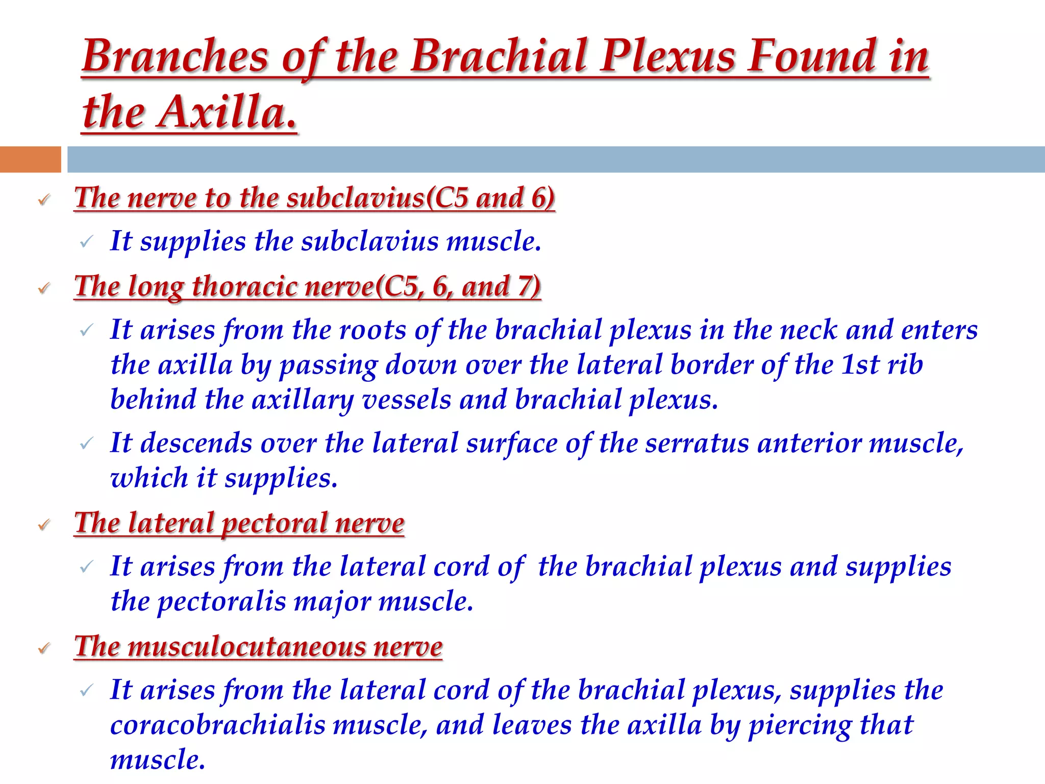 Branches of the Brachial Plexus Found in
the Axilla.
 The nerve to the subclavius(C5 and 6)
 It supplies the subclavius muscle.
 The long thoracic nerve(C5, 6, and 7)
 It arises from the roots of the brachial plexus in the neck and enters
the axilla by passing down over the lateral border of the 1st rib
behind the axillary vessels and brachial plexus.
 It descends over the lateral surface of the serratus anterior muscle,
which it supplies.
 The lateral pectoral nerve
 It arises from the lateral cord of the brachial plexus and supplies
the pectoralis major muscle.
 The musculocutaneous nerve
 It arises from the lateral cord of the brachial plexus, supplies the
coracobrachialis muscle, and leaves the axilla by piercing that
muscle.
 